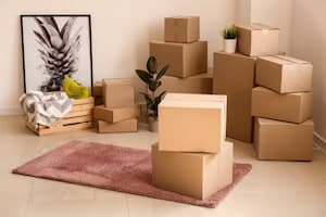 Home Moving Packing Tips for a Stress-Free Move