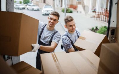 To Hire or Not to Hire: Benefits of a Removalist Specialist