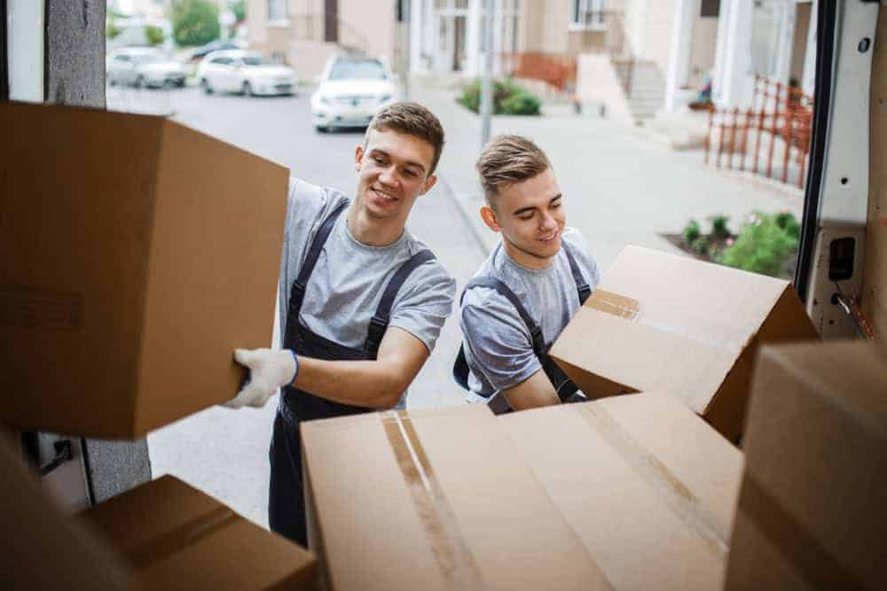 professional removalists
