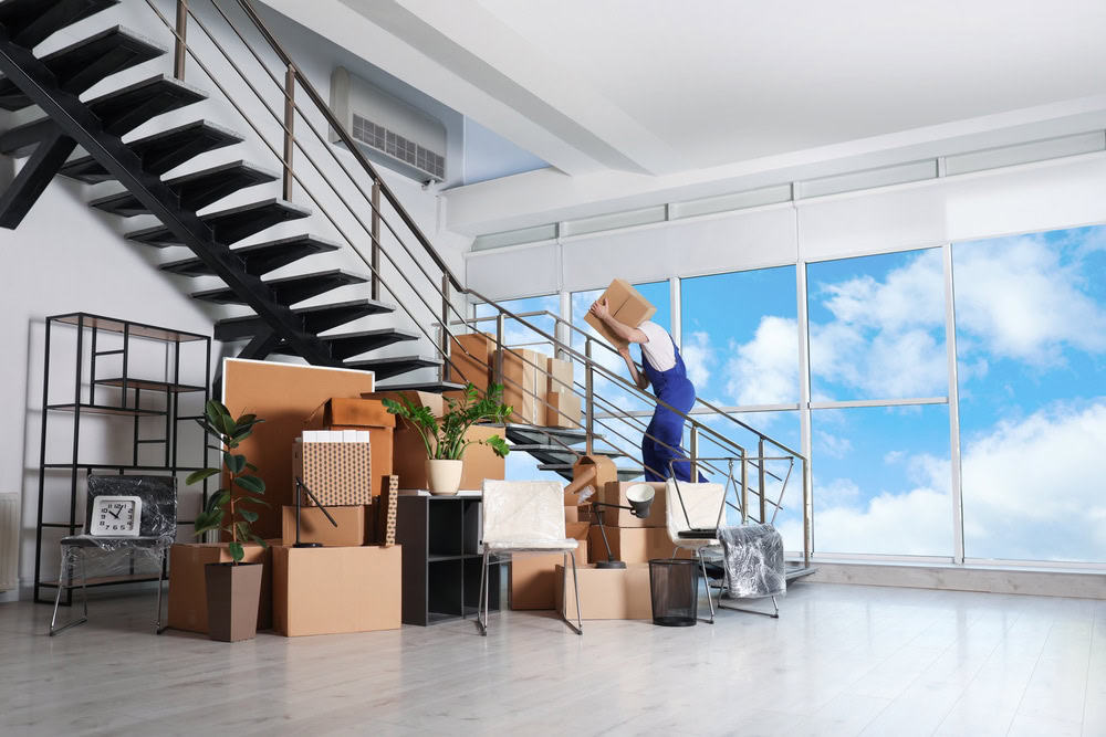 removalist bringing boxes