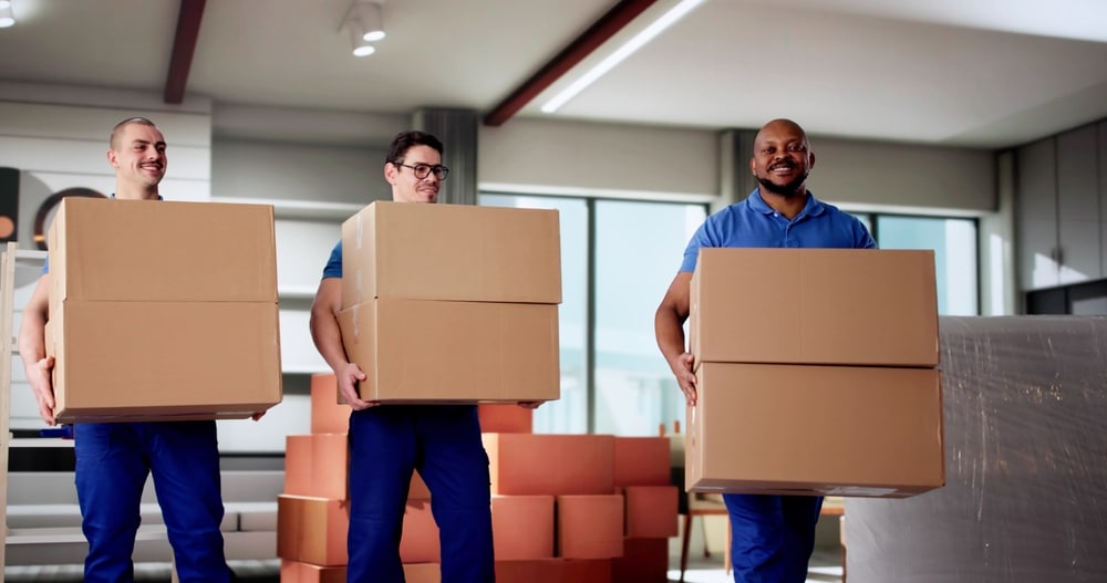 professional movers